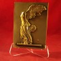 lot_10_chevalets_plexiglas_PRE08GM