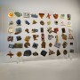 Plexiglas display for 54 collection pins